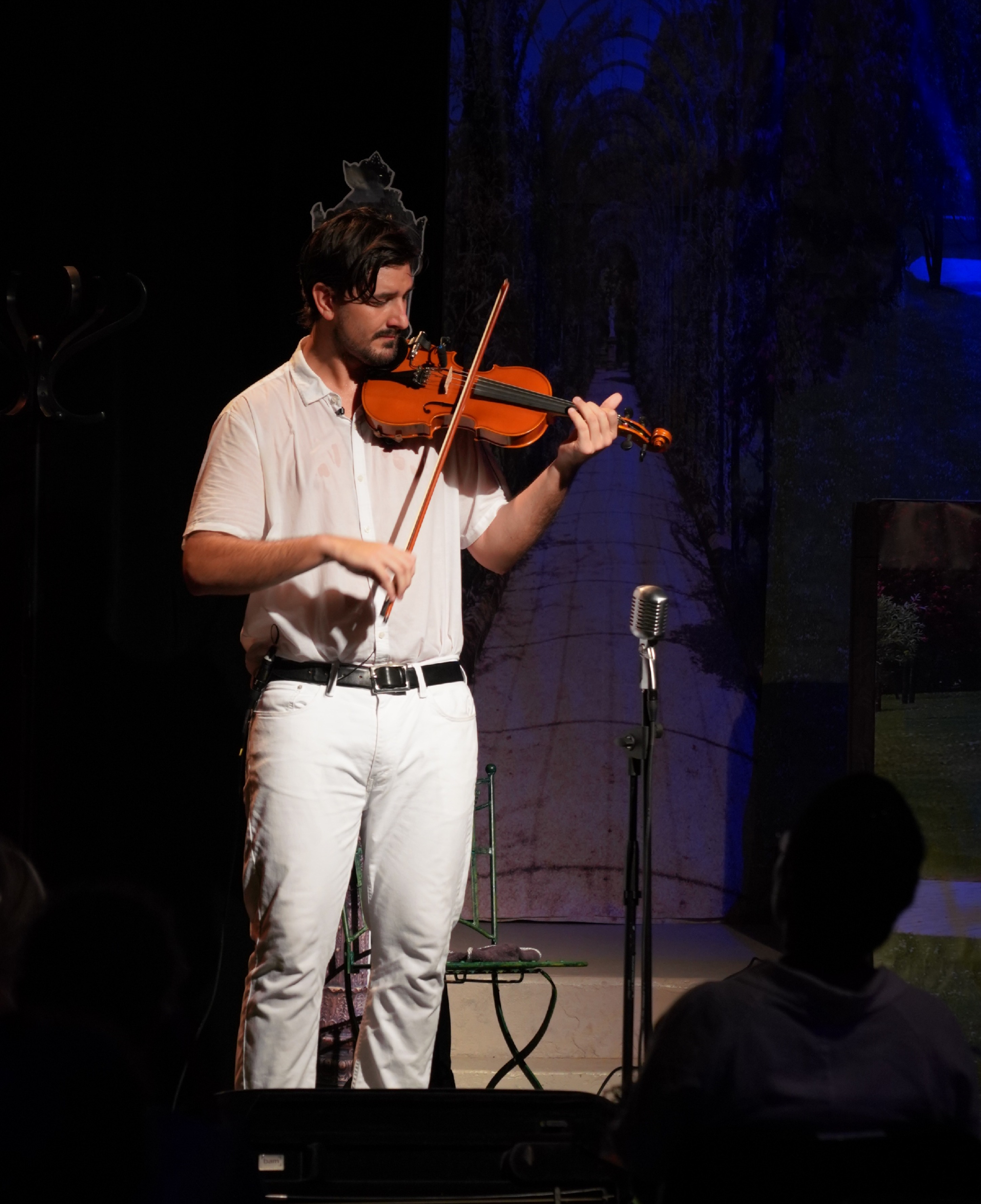 Violoniste pour événement d'entreprise à Bordeaux