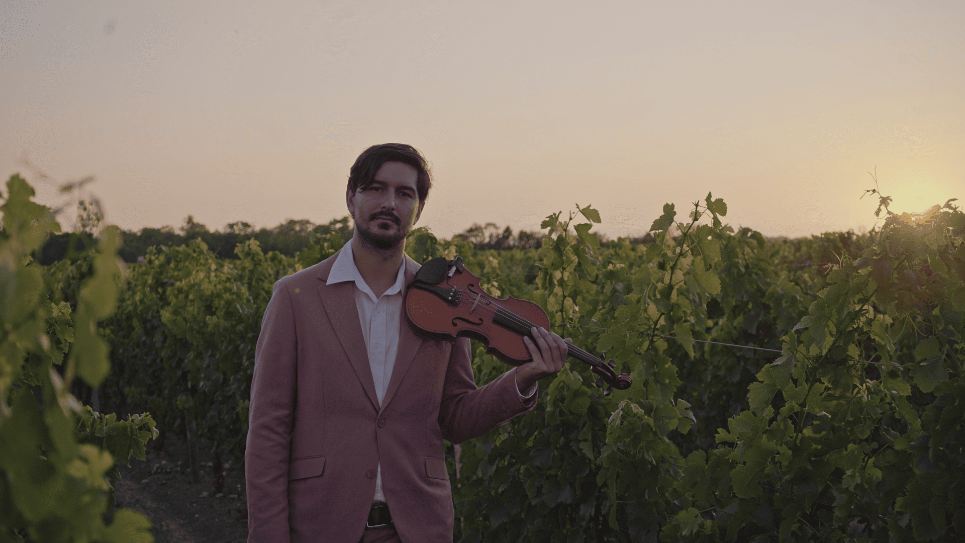 Martin Bevacua violoniste lors d'un mariage à Bordeaux